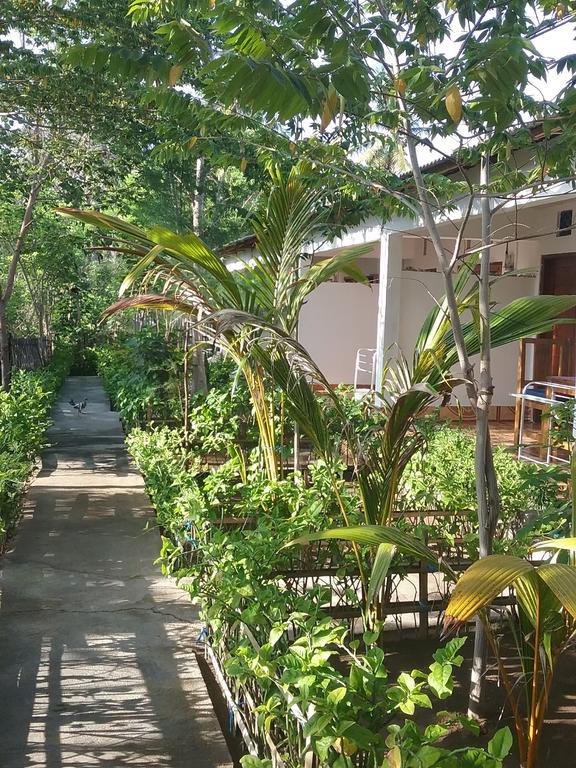 Putri Homestay Gili Meno Esterno foto